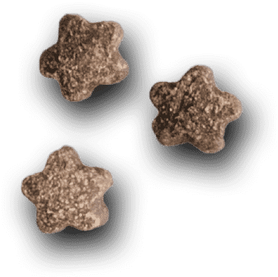 dog-grooming_05