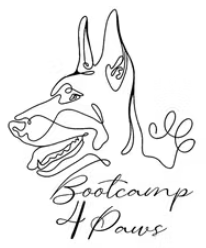 Bootcamp4paws